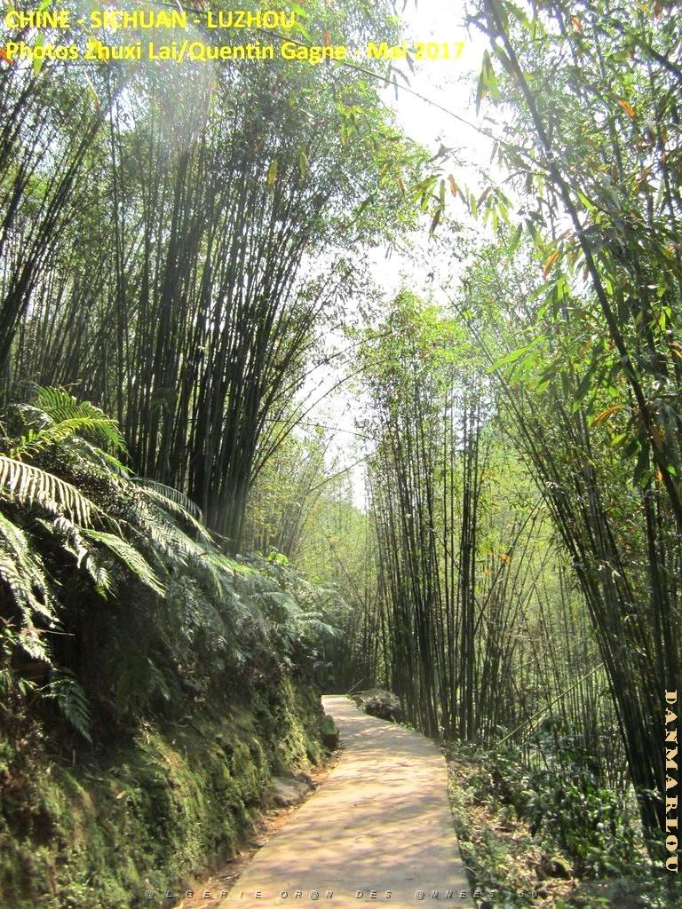 Luzhou 084.JPG